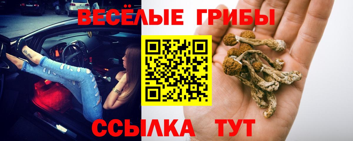 Галлюциногенные грибы мицелий  Вход с VPN  дарнет шоп  Йошкар-Ола 